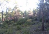 Non-developable land for sale in Estivella ref: TR32704 photo