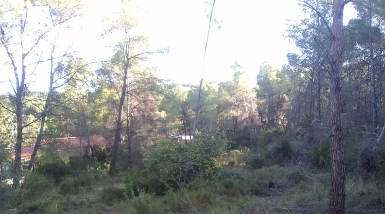 Valencia - Estivella - 2182m2