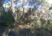 Non-developable land for sale in Estivella ref: TR32704 photo