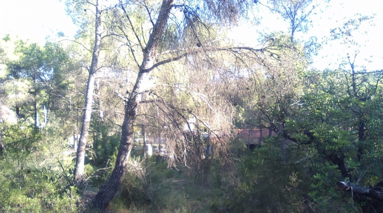 Valencia - Estivella - 2182m2