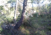 Non-developable land for sale in Estivella ref: TR32704 photo