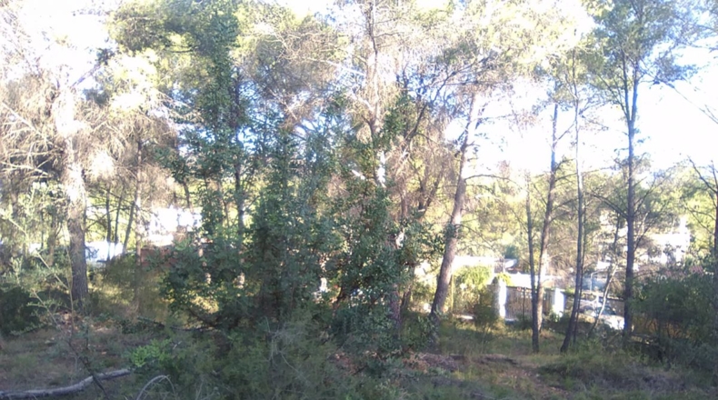 Valencia - Estivella - 2182m2
