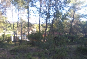 Foto 13