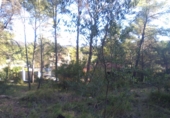 Non-developable land for sale in Estivella ref: TR32704 photo