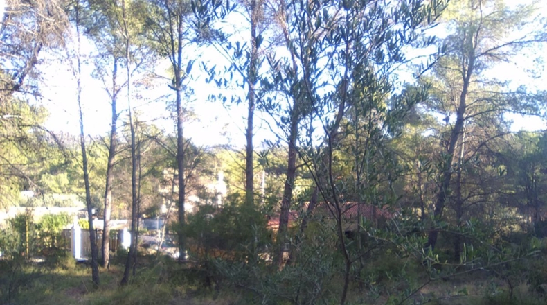 Valencia - Estivella - 2182m2