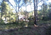 Non-developable land for sale in Estivella ref: TR32704 photo