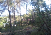 Non-developable land for sale in Estivella ref: TR32704 photo