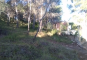 Non-developable land for sale in Estivella ref: TR32704 photo