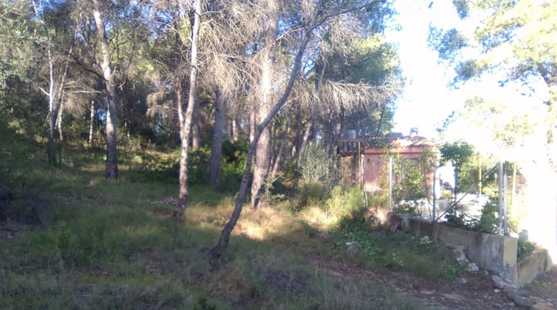 Valencia - Estivella - 2182m2