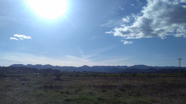 Valencia - Alfara de la Baronía - 16853m2