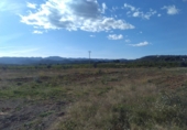 Non-developable land for sale in Alfara de la Baronia ref: TR33960 photo