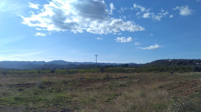 Valencia - Alfara de la Baronía - 16853m2