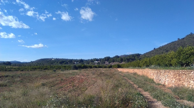 Valencia - Alfara de la Baronía - 16853m2