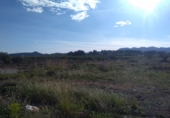 Non-developable land for sale in Alfara de la Baronia ref: TR33960 photo