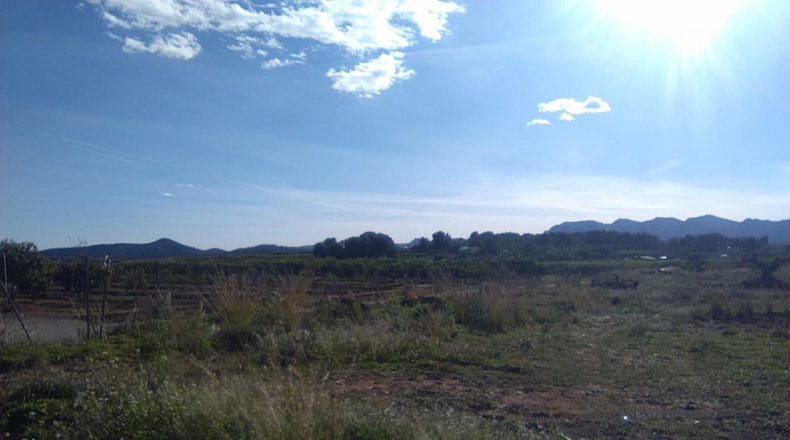 Valencia - Alfara de la Baronía - 16853m2
