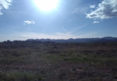 Non-developable land for sale in Alfara de la Baronia ref: TR33960 photo