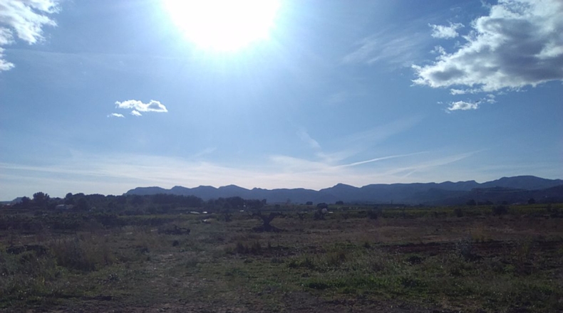Valencia - Alfara de la Baronía - 16853m2