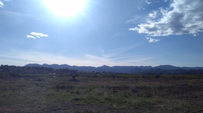 Valencia - Alfara de la Baronía - 16853m2