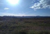 Non-developable land for sale in Alfara de la Baronia ref: TR33960 photo