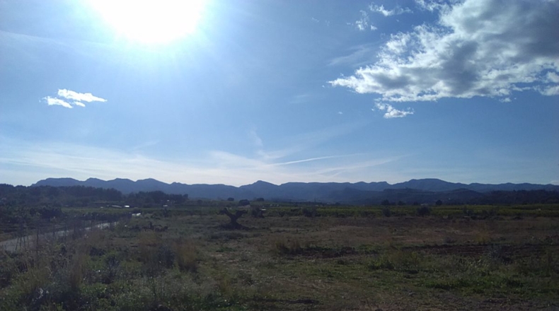 Valencia - Alfara de la Baronía - 16853m2