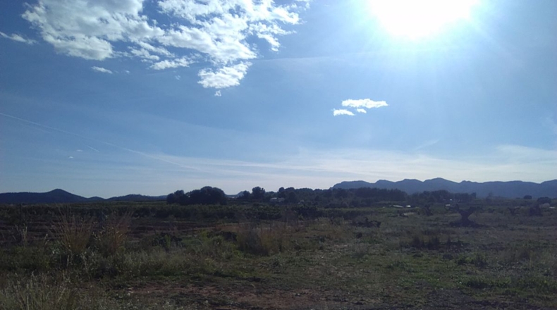 Valencia - Alfara de la Baronía - 16853m2