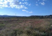 Non-developable land for sale in Alfara de la Baronia ref: TR33960 photo