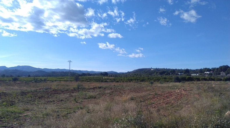 Valencia - Alfara de la Baronía - 16853m2