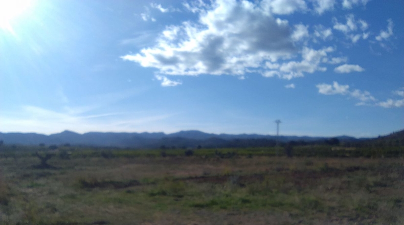 Valencia - Alfara de la Baronía - 16853m2