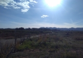 Non-developable land for sale in Alfara de la Baronia ref: TR33960 photo