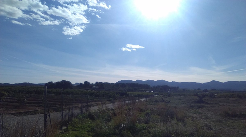 Valencia - Alfara de la Baronía - 16853m2