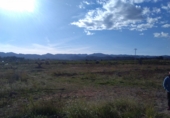 Non-developable land for sale in Alfara de la Baronia ref: TR33960 photo