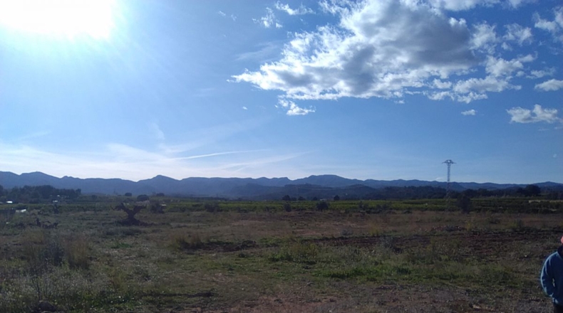 Valencia - Alfara de la Baronía - 16853m2