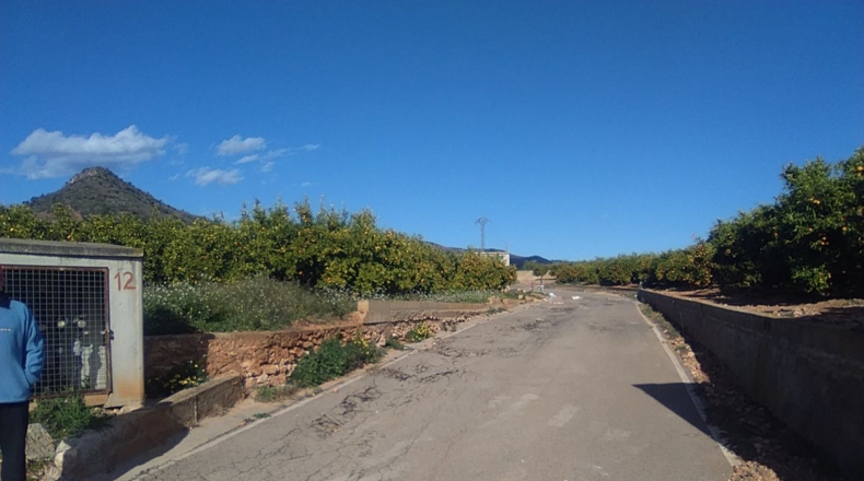 Valencia - Alfara de la Baronía - 16853m2