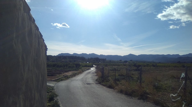 Valencia - Alfara de la Baronía - 16853m2