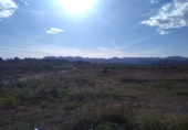 Non-developable land for sale in Alfara de la Baronia ref: TR33960 photo