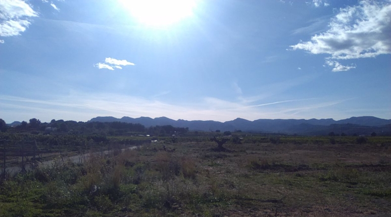 Valencia - Alfara de la Baronía - 16853m2