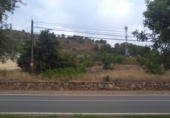 Terreny no urbanitzable en venda a Algímia d'Alfara ref.: TR33959 foto