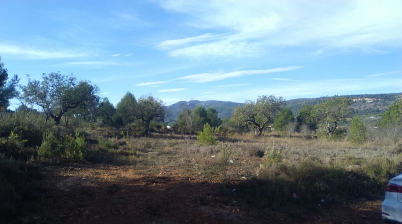 Valencia - Algimia de Alfara - 3274m2
