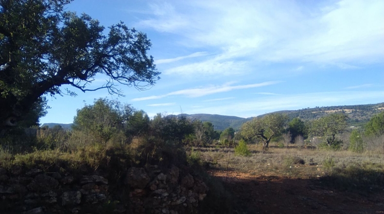 Valencia - Algimia de Alfara - 3274m2