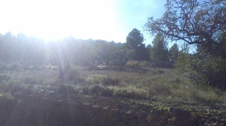 Valencia - Algimia de Alfara - 3274m2