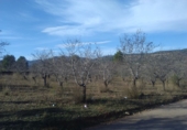 Земля на продажу у города Algímia d'Alfara. Фото