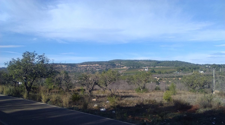 Valencia - Algimia de Alfara - 3274m2