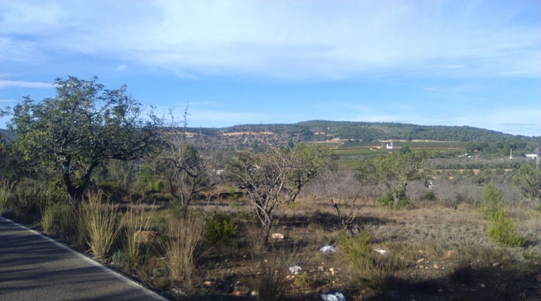 Valencia - Algimia de Alfara - 3274m2