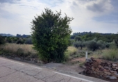 Terreno no urbanizable en venta en Algímia d'Alfara ref: TR32699 foto