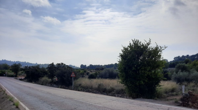 Valencia - Algimia de Alfara - 4136m2