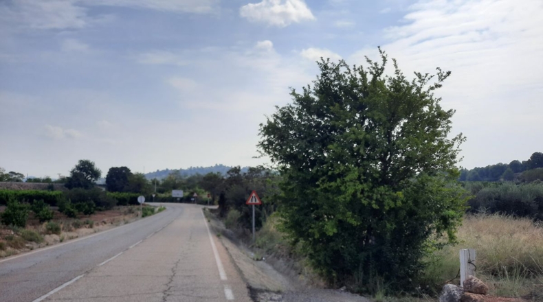 Valencia - Algimia de Alfara - 4136m2