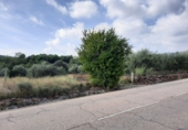 Terreno no urbanizable en venta en Algímia d'Alfara ref: TR32699 foto