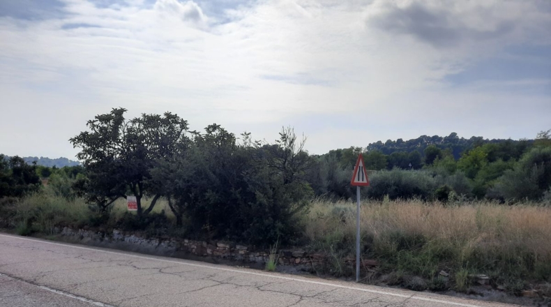 Valencia - Algimia de Alfara - 4136m2