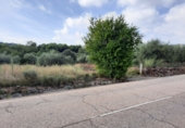Terreno no urbanizable en venta en Algímia d'Alfara ref: TR32699 foto