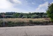 Terreno no urbanizable en venta en Algímia d'Alfara ref: TR32699 foto